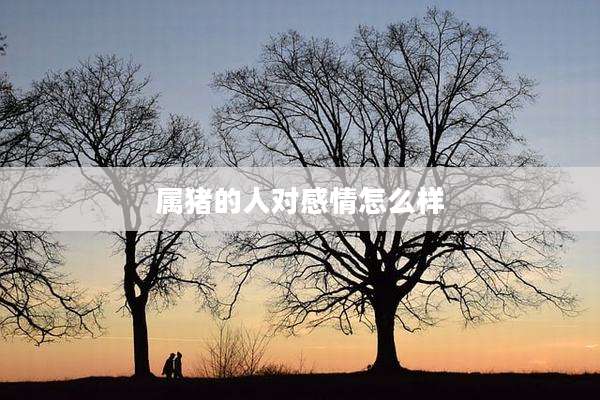 属猪的人对感情怎么样