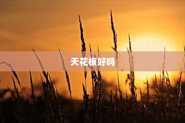 天花板好吗