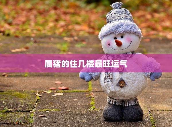 属猪的住几楼最旺运气