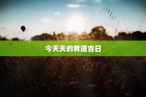 今天天的黄道吉日