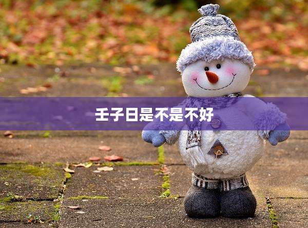 壬子日是不是不好