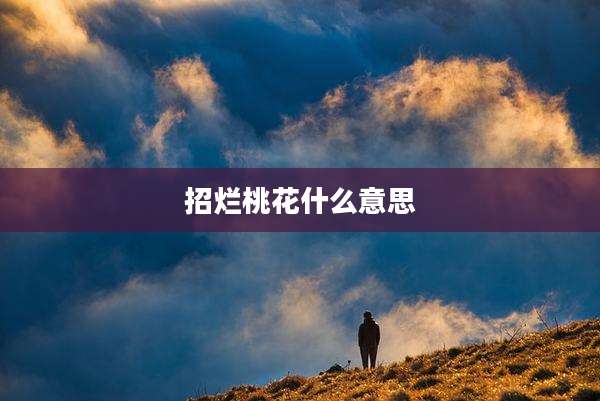 招烂桃花什么意思