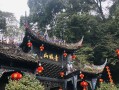 车牌号选号鲁q 鲁b车牌号自选号？