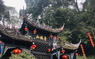 车牌号暂停自己选号 车牌号暂停自己选号怎么办？