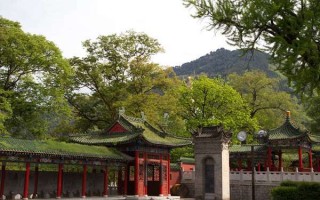 新能源车车牌号打分 新能源车牌照号码吉凶免费？