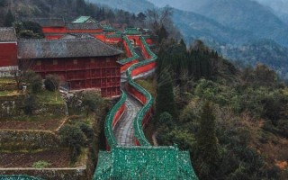深圳车牌怎么摇号申请 深圳车牌怎么摇号申请条件？