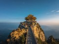 介绍车牌号的意义是什么 车牌号的相关知识？