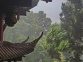 车牌号提前选号软件 提前选车牌号app？