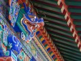 申请车牌号 申请车牌号多久可以拿到？